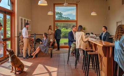 Shottesbrooke Wines